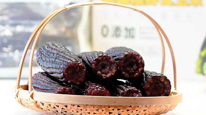 “黑珍珠”玉米走势火爆！始于良种背后的坚持(图1)