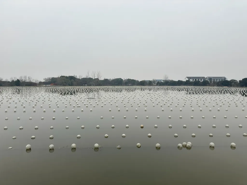 天然珍珠假一赔万到手震惊了(图2)