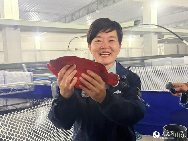 山东烟台:金山银海庄园焕彩(图2)