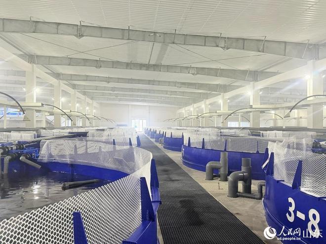 山东烟台:金山银海庄园焕彩(图1)