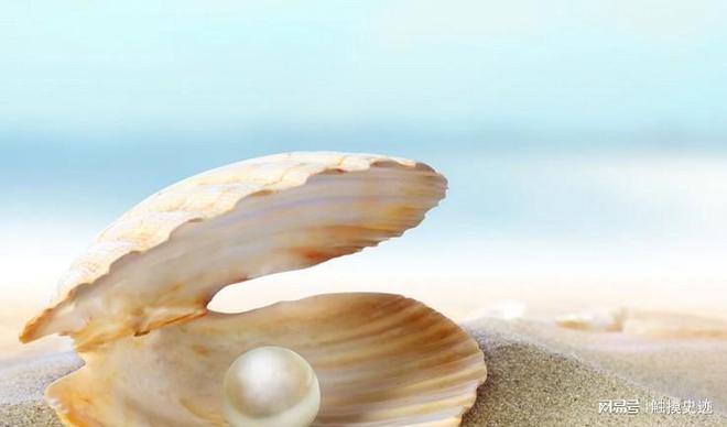 世界上最大的淡水珍珠来自中国清朝时期被荷兰商人偷渡出境(图1)
