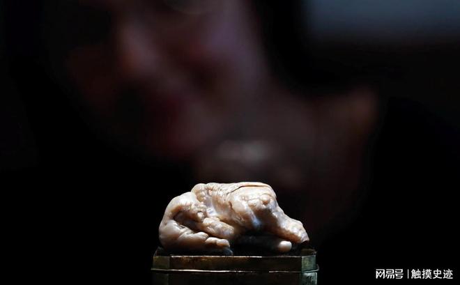 世界上最大的淡水珍珠来自中国清朝时期被荷兰商人偷渡出境(图4)