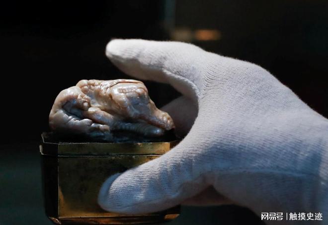 世界上最大的淡水珍珠来自中国清朝时期被荷兰商人偷渡出境(图8)