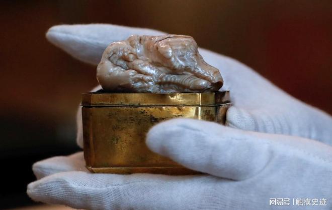 世界上最大的淡水珍珠来自中国清朝时期被荷兰商人偷渡出境(图7)