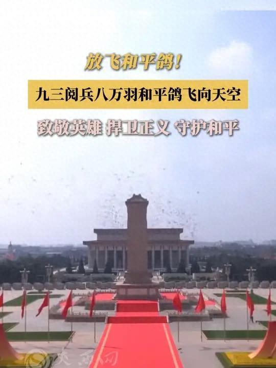 8万羽和平鸽都是“借来”的关在特殊笼子放飞有的已经到家了(图1)