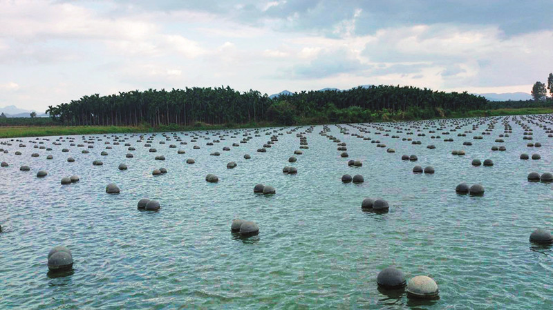 2025年广东省海洋经济职业技能大赛水产养殖技术项目竞赛在岭师启幕(图1)