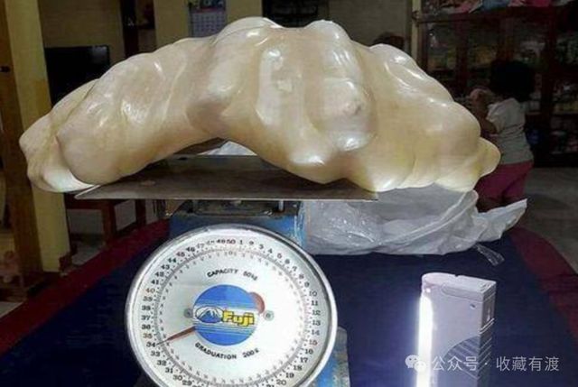 曾经的世界最大珍珠慈禧的最爱失踪多年后却离奇出现在日本(图1)