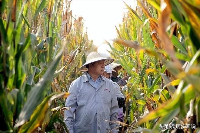 欧美多次围剿中国打响“粮食战争”如今中国的反击开始了！(图5)