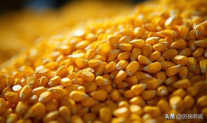 欧美多次围剿中国打响“粮食战争”如今中国的反击开始了！(图3)