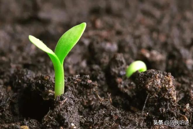 欧美多次围剿中国打响“粮食战争”如今中国的反击开始了！(图7)