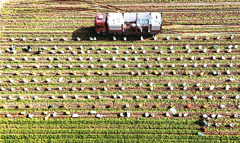 在发掘中保护 在利用中传承 让中华农业文化遗产“活”起来(图2)