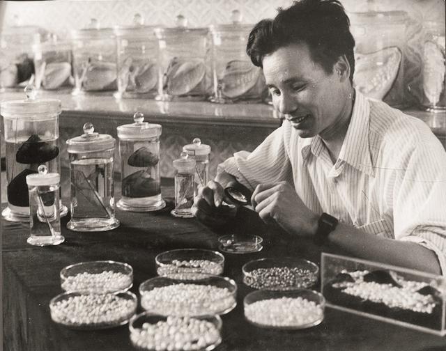 怎么种珍珠养殖河蚌怎么种珍珠(图1)