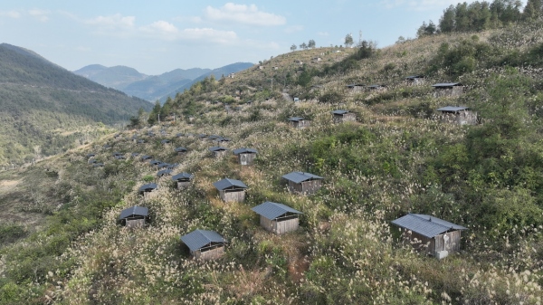 秀山:“智慧鸡场”赋能生态养殖(图1)