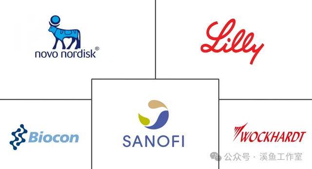 中国的胰岛素正在迎头赶上-05-奠基和面临的困局(图5)