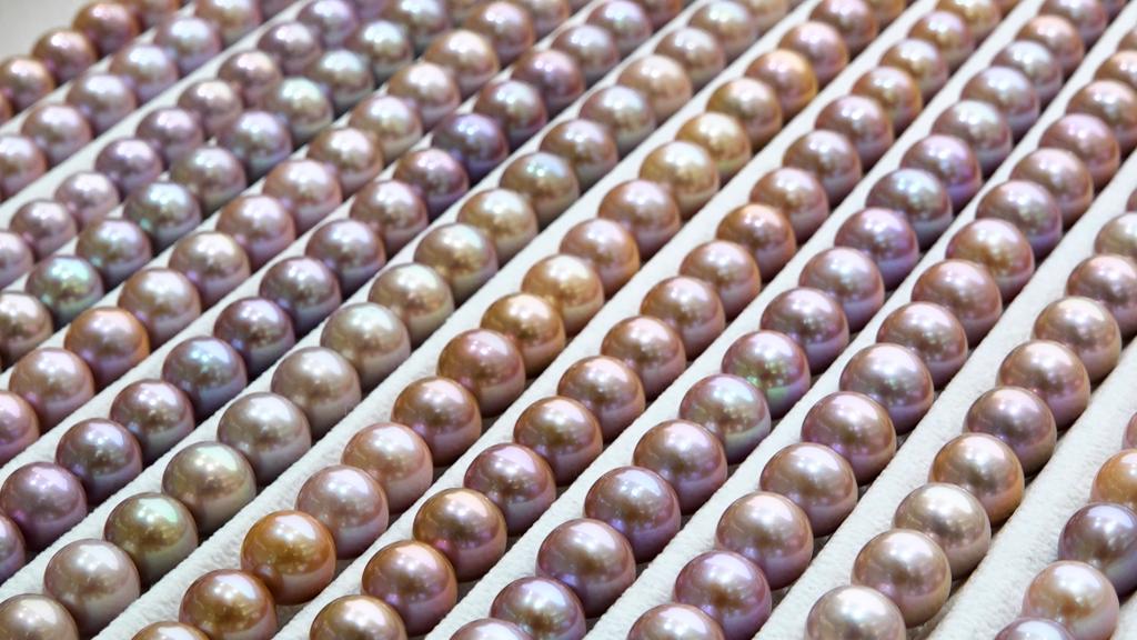 全球七成以上！看“珍珠小镇”如何结缘“美丽经济”(图2)