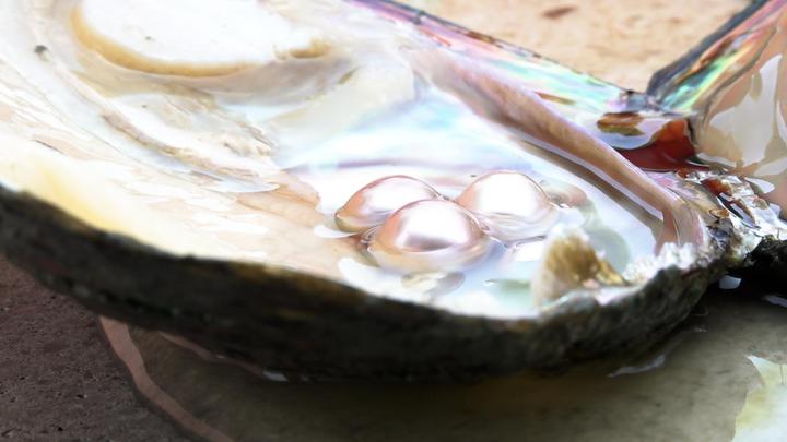 全球七成以上！看“珍珠小镇”如何结缘“美丽经济”(图4)