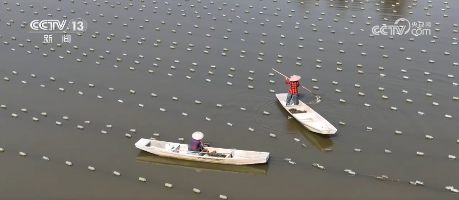 “土特产”变“金名片” 各地多元特色产业描绘乡村振兴好“丰”景(图7)