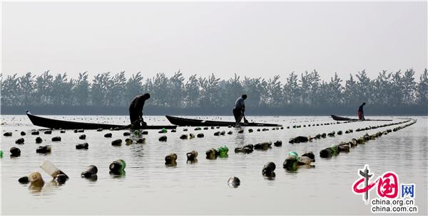 “十四五”成色足 “十五五”蓝图新(图1)