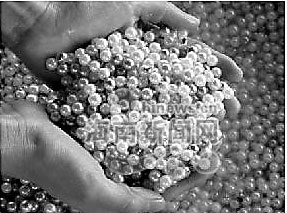 智慧农业“链”出新泰好“丰”景(图1)