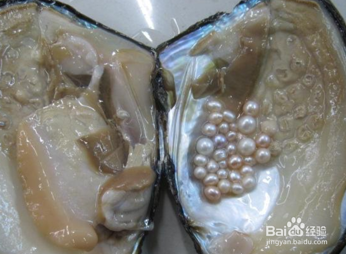 亩产1579斤!惠水断杉珍珠洋芋试种喜获成功(图1)