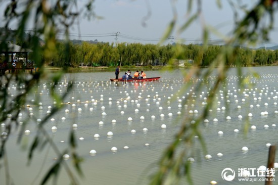 “散落珍珠”串成“共富项链”(图1)