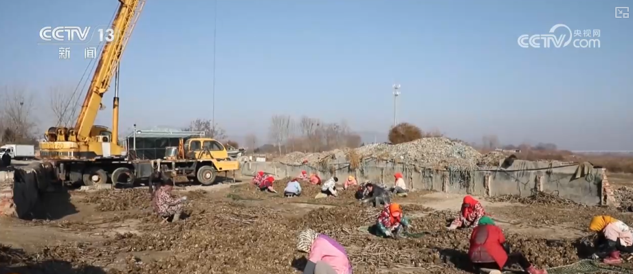 “海上牧场”迎丰收产销两旺 科学养殖新模式为“深海粮仓”注入澎湃“新”动力(图6)