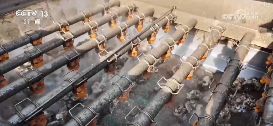 “海上牧场”迎丰收产销两旺 科学养殖新模式为“深海粮仓”注入澎湃“新”动力(图7)