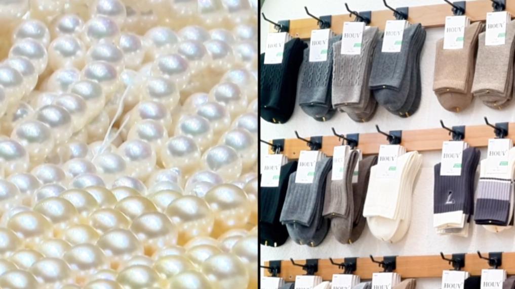 向“新”而行:区域产业升级激发经济新动能(图1)