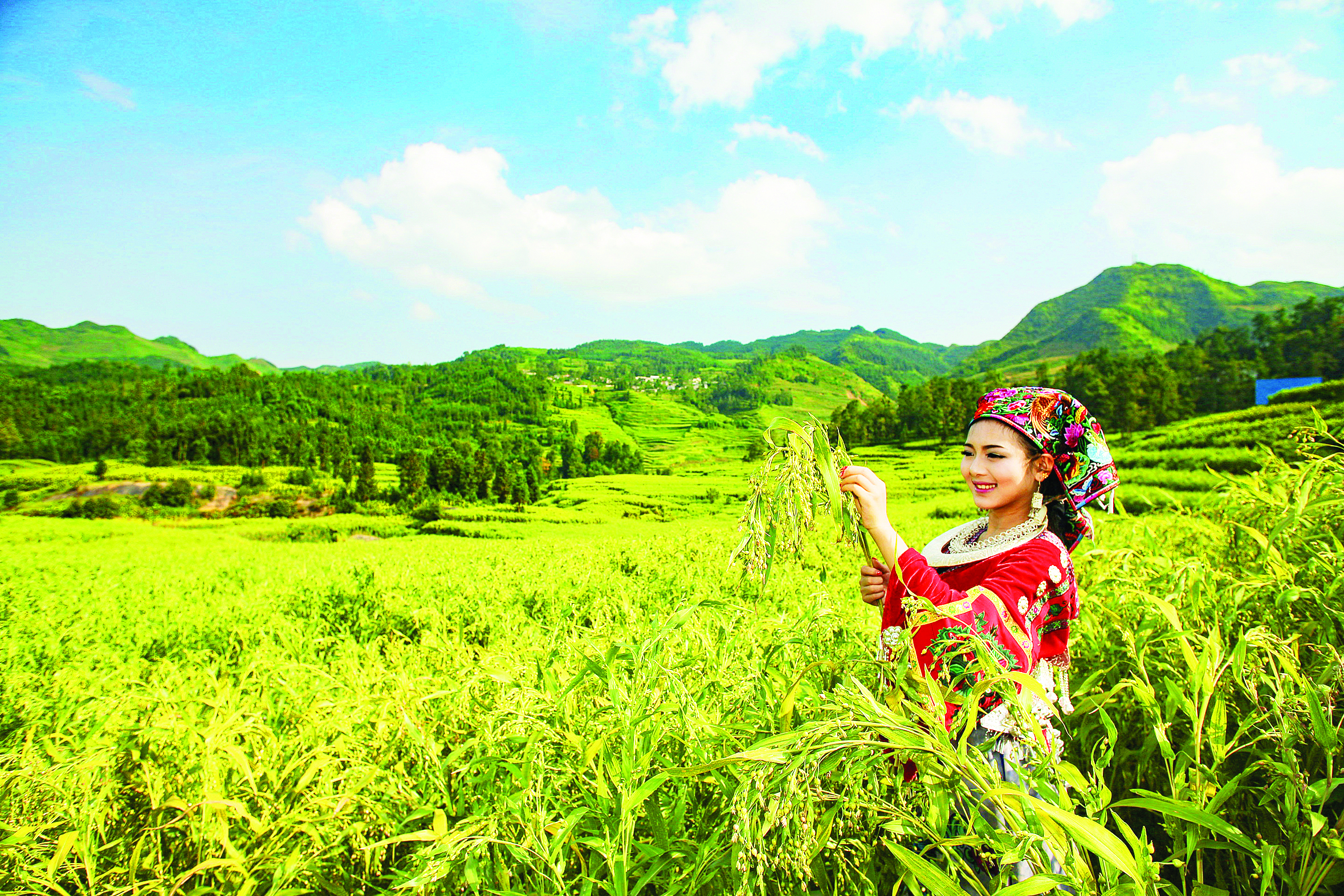 惠黔力推产业集群化发展 两年实施特色产业提升项目60个(图4)