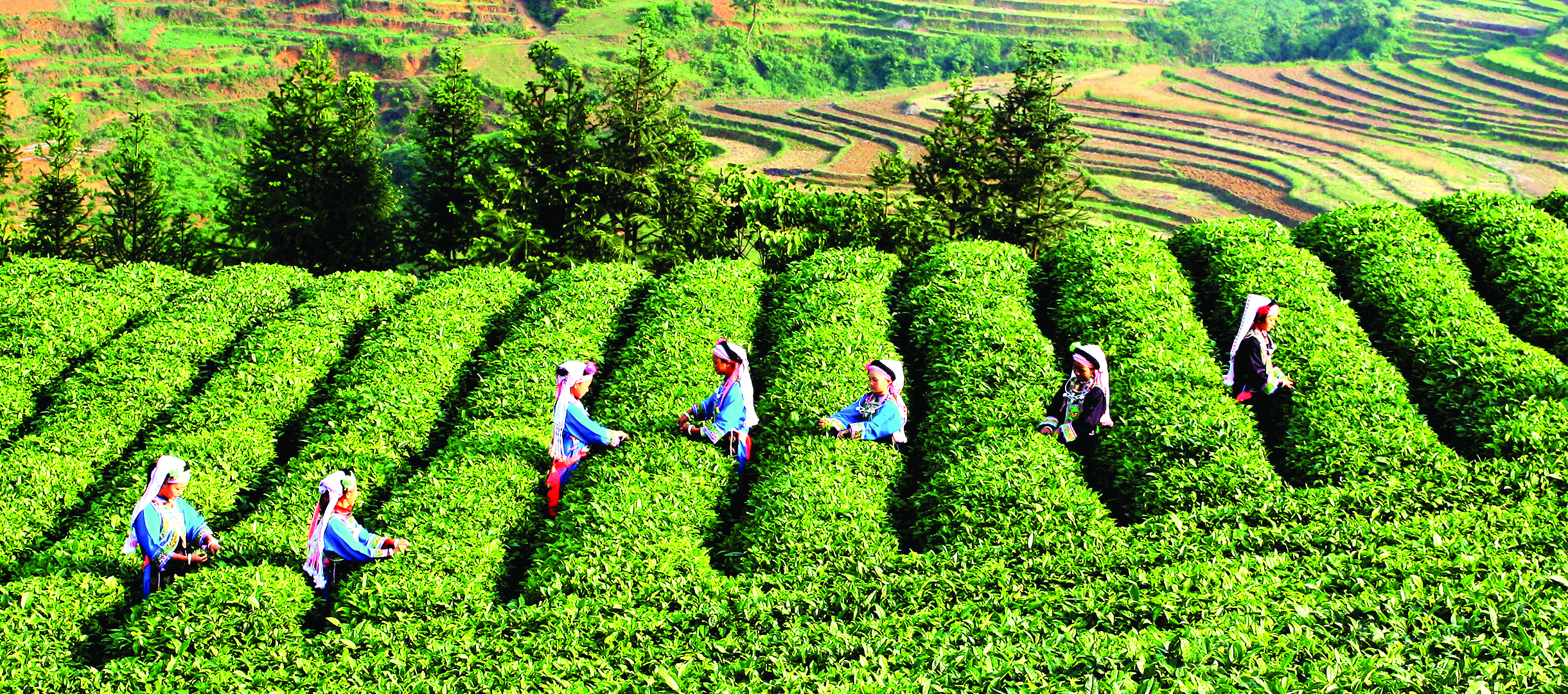 惠黔力推产业集群化发展 两年实施特色产业提升项目60个(图5)