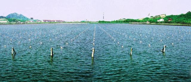 金属_第2页_期货_同花顺财经(图1)