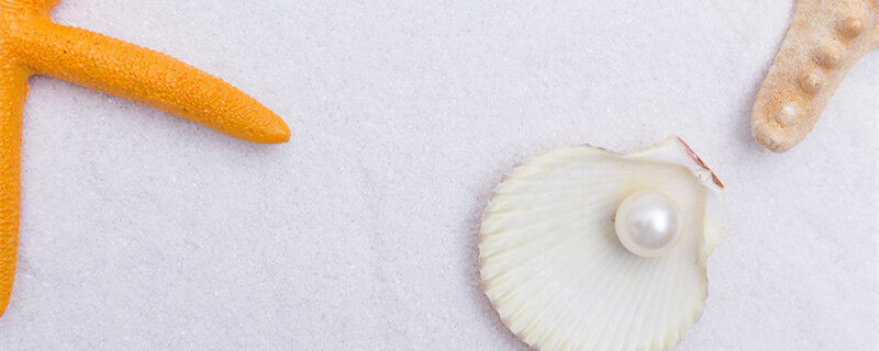 孙刚:先进技术要和产业结合(图1)