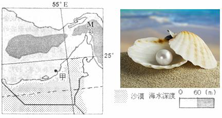 一颗肉丸串起高原牧民幸福路(图1)