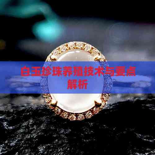 白玉珍珠养殖技术与要点解析(图1)