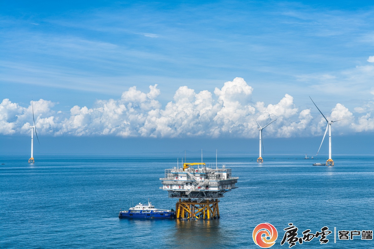 挺进蔚蓝 强港兴海——防城港市推动向海经济高质量发展观察(图3)