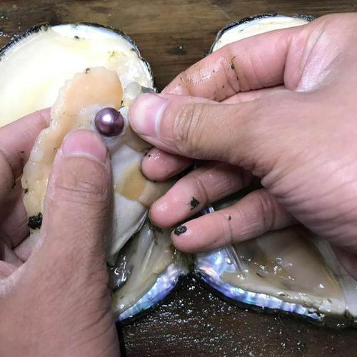 淡水珍珠蚌如何繁育？其养殖技术要点有哪些？(图1)