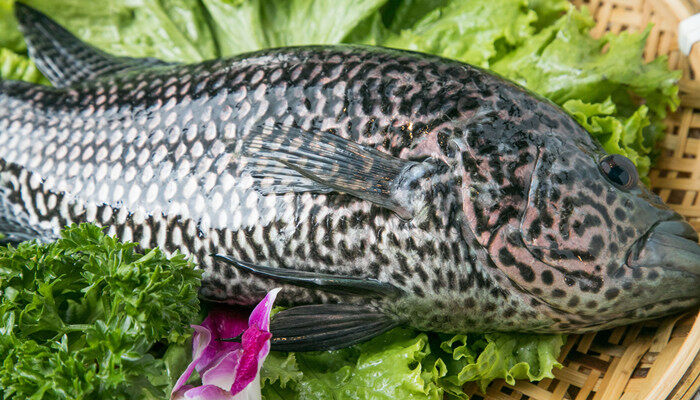 浙江明确专业市场转型升级时间表、路线图(图1)