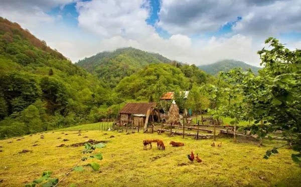 史上含金量最大的签证有了它可以再免签近20个国家和地区任意畅游!(图18)