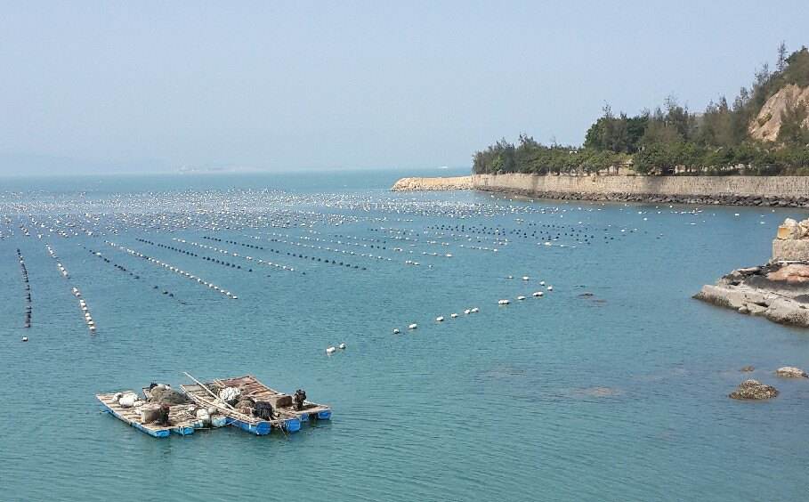 张金镇：推进养殖尾水治理 守护水域生态环境(图1)