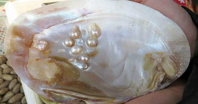 公司销售团队介绍Word模板下载(图1)