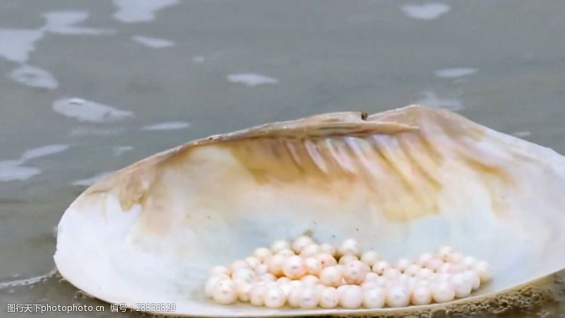 一颗珍珠催生“美丽经济”!这个川东北小县城靠珍珠蚌年挣3个亿(图1)