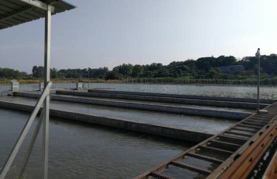 海水珍珠怎么鉴别？这5个方法轻松鉴别(图1)