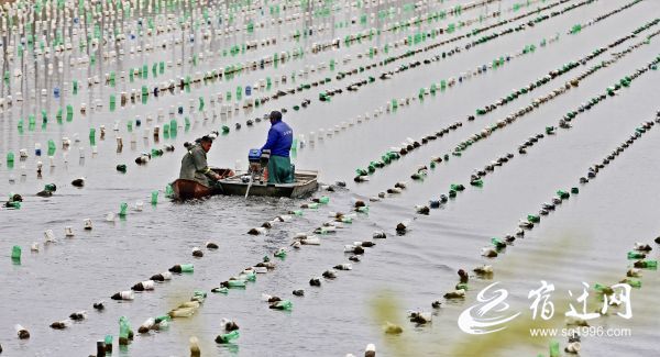 新年穿搭首饰品牌推荐全攻略!马年开运必备新款首饰提升贵气感的高端珠宝见家长有档次的开运大牌精致新年穿搭必备全收录!(图1)