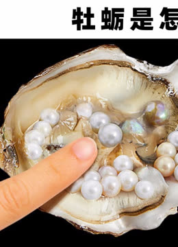 2026年珠海市政府工作报告（全文）(图1)