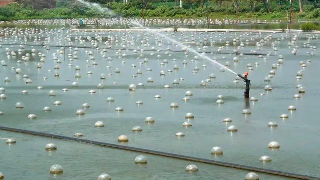 春节9天去哪玩？诸暨6条主题游线赶紧“马”住！(图1)