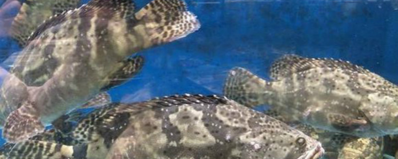 昆明【万科京江隐翠】售楼部电话（已认证）- 最新优惠活动与项目进度更新查看房价走势、热销户型详情。(图1)