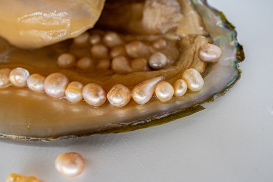 iPhone6升级iOS93体验 备忘录可以加密(图1)