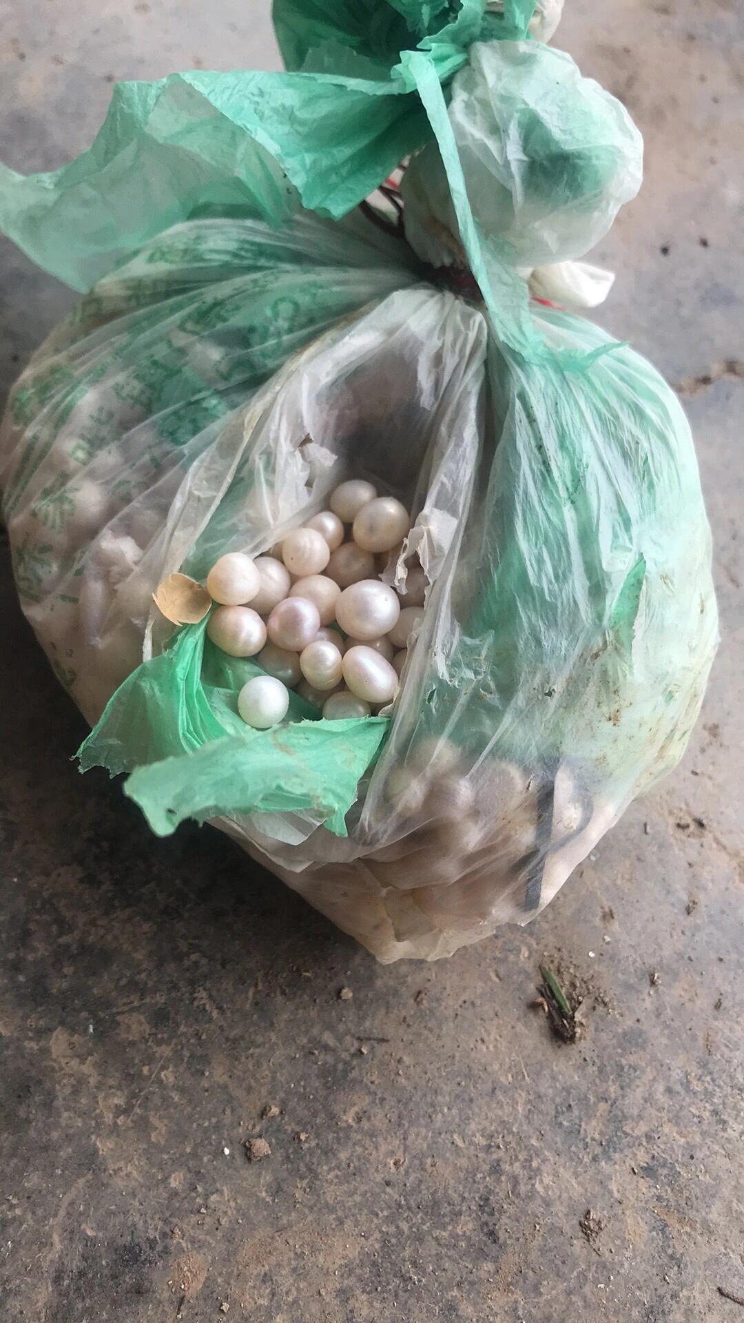 2026年浙江省政府工作报告全文(图1)