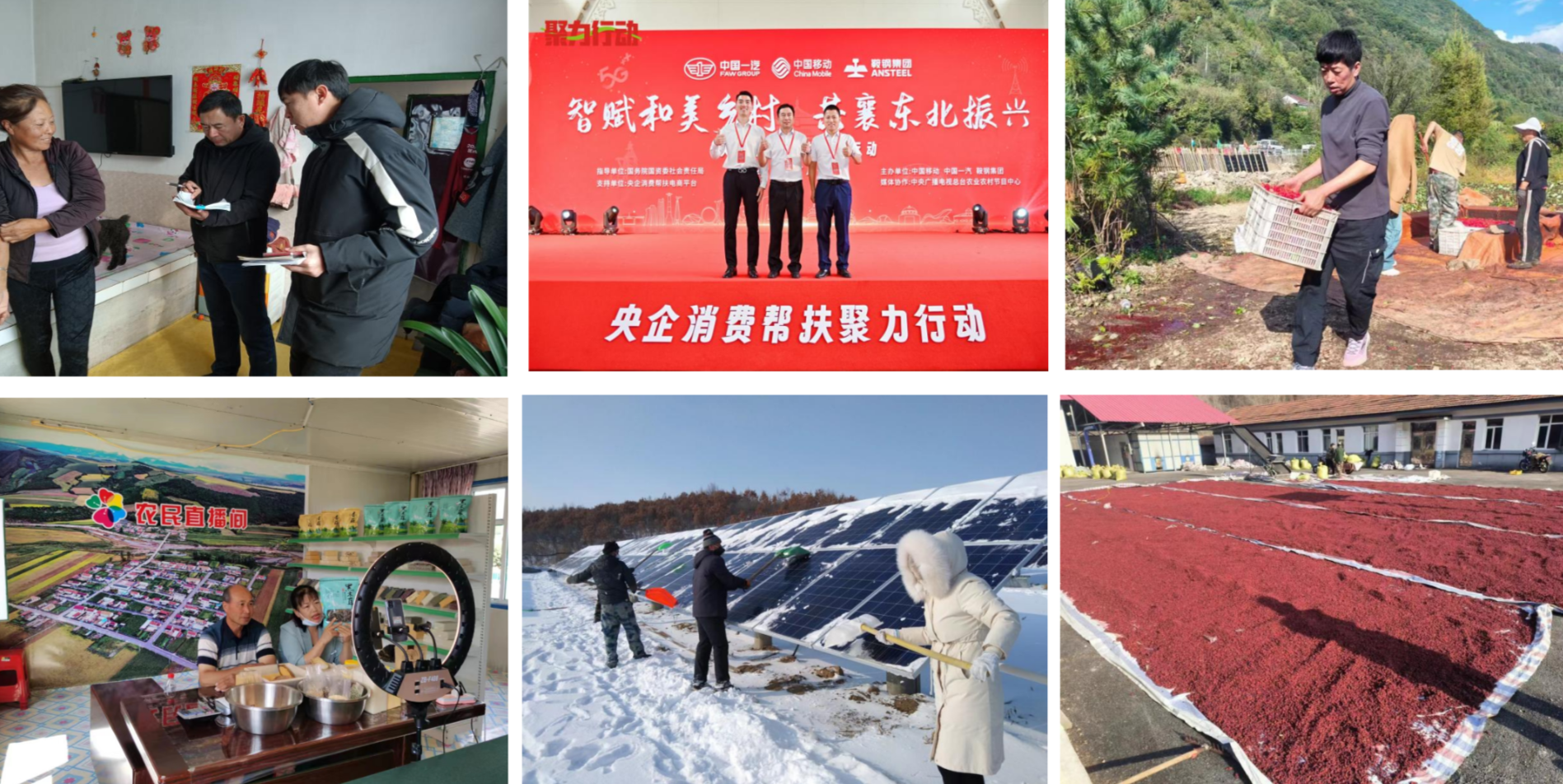 践行国企社会责任 深耕乡村振兴沃土(图1)