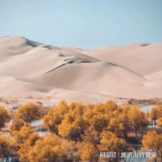 青甘大环线纯玩攻略 青海湖日出茶卡天空之镜莫高窟壁画精华体验(图1)